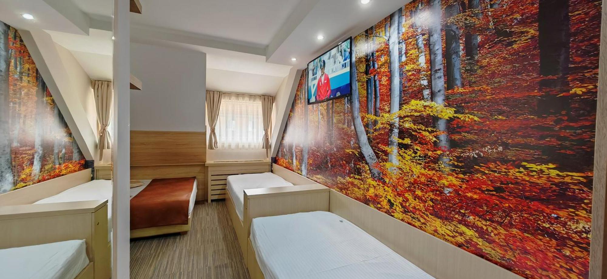Angella Kop Konaci Apartment Kopaonik Cameră foto